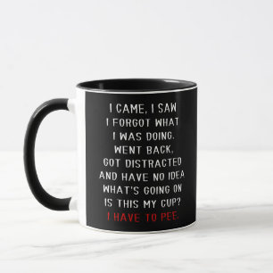 I Came I Saw I Forgot What I Was Doing Funny Mug