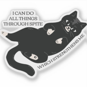 I Can Do All Things Through Petty Which Strengthen