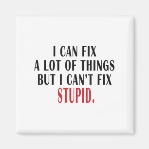I Can Fix A Lot Of Things But I Can't Fix Stud Mem Magnet