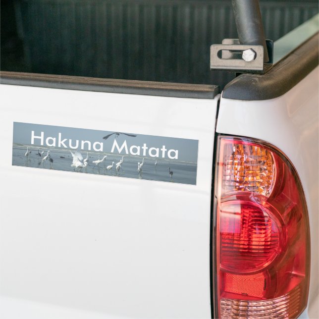 I can fly Customize Product Bumper Sticker (On Truck)