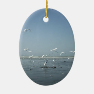 I can flying ceramic ornament