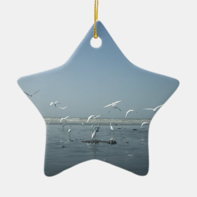 I can flying ceramic ornament (Front)