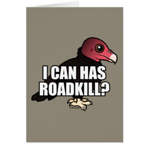 I Can Has Roadkill?