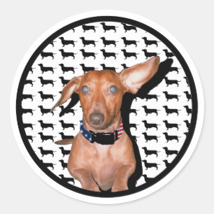 I Can Hear You Classic Round Sticker