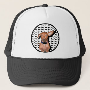 I Can Hear You Trucker Hat