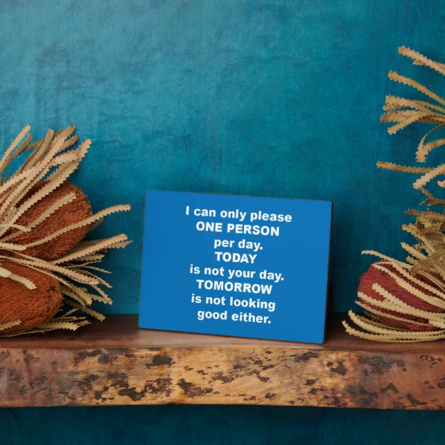 I can only please one person per day plaque (Side)
