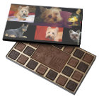 I can Put YOUR Pets on a Box of Chocolates