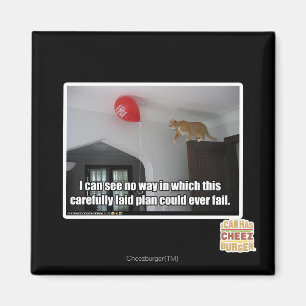 I can see no way this could fail magnet