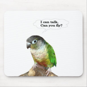 I can talk, can you fly? mouse pad