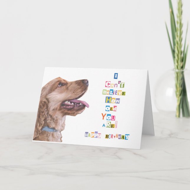 I Can't Believe How Old You Are Birthday Card (Front)