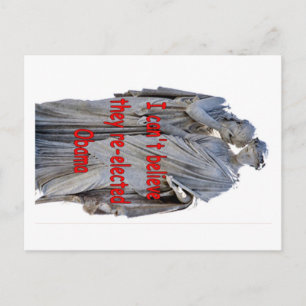 I CAN'T BELIEVE THEY RE-ELECTED OBAMA POSTCARD