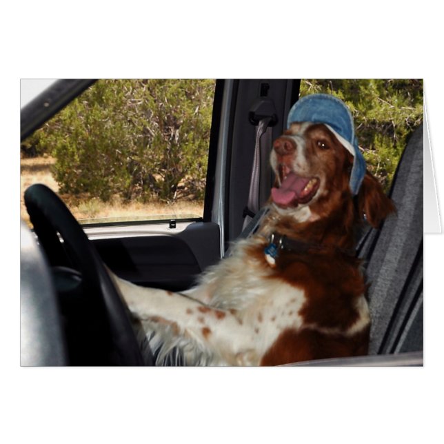 I CAN'T DRIVE 55! - Customized (Front Horizontal)