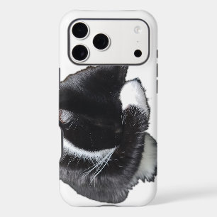 I Can't Even Right Meow