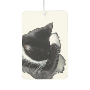 I Can't Even Right Meow Air Freshener