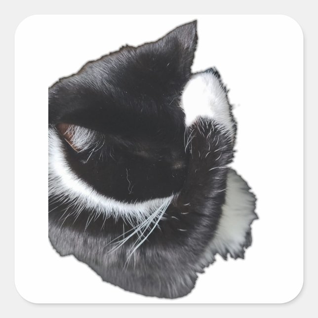 I Can't Even Right Meow Square Sticker (Front)
