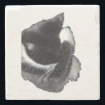 I Can't Even Right Meow Stone Coaster<br><div class="desc">Introducing Binx... This humorous image features a black-and-white tuxedo cat curled up with one paw dramatically covering his face, as if he has completely given up on the day. With his head tucked down and eyes hidden, the cat looks adorably fed up—like he just heard the most ridiculous thing imaginable...</div>