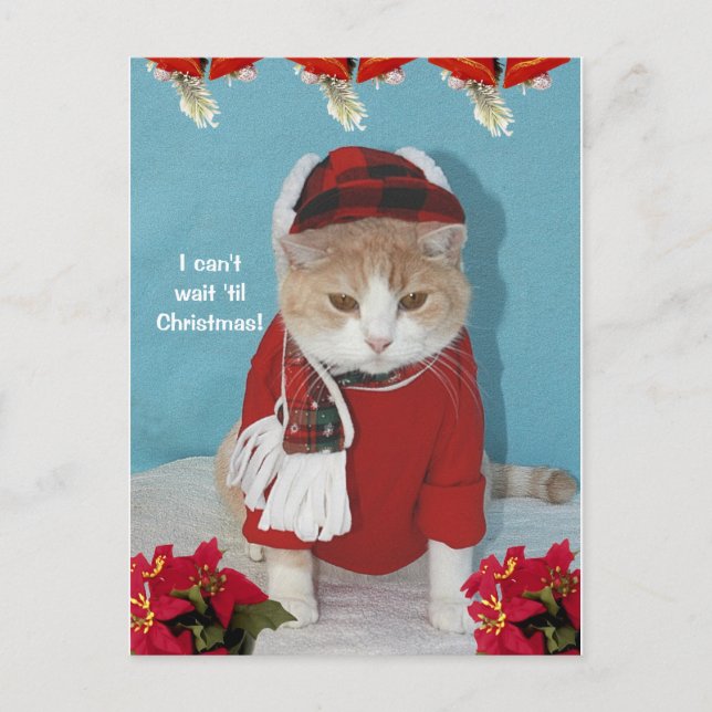 I can't wait 'til Christmas! Holiday Postcard (Front)