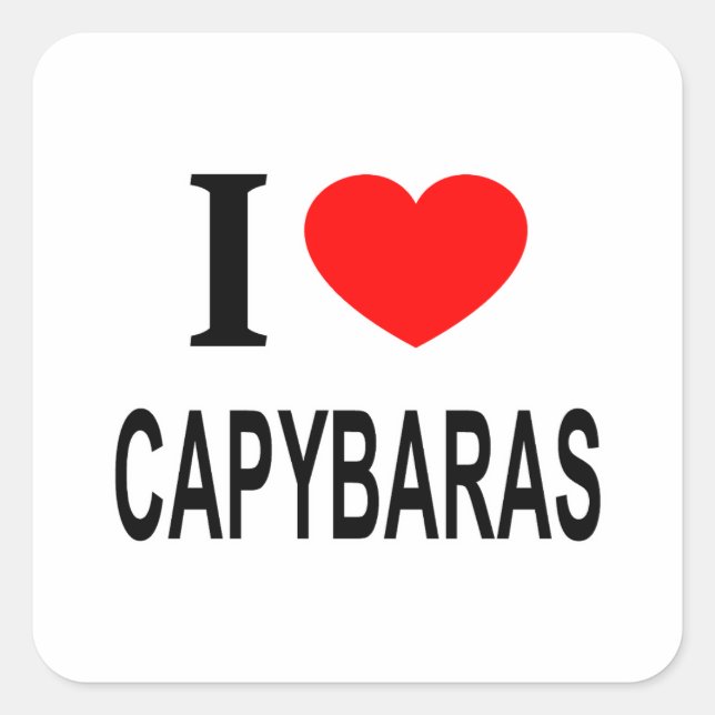 I ❤️ CAPYBARAS I LOVE CAPYBARAS I HEART CAPYBARAS SQUARE STICKER (Front)