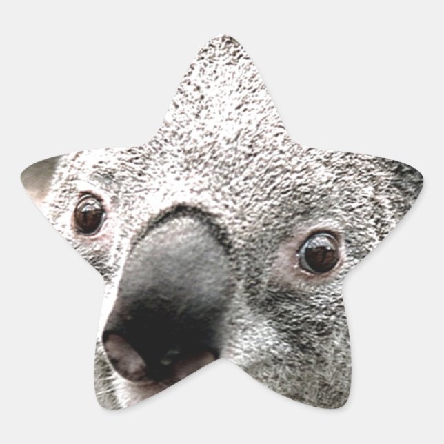 I Care_ Star Sticker (Front)