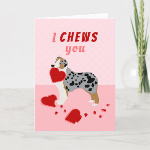 I Chews You Australian Shepherd Valentine's Day Holiday Card
