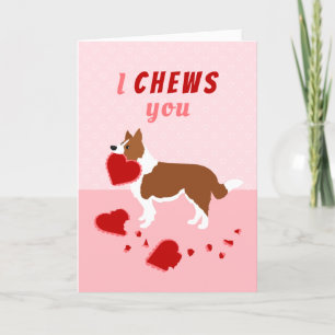 I Chews You Border Collie Valentine's Day Holiday  Card