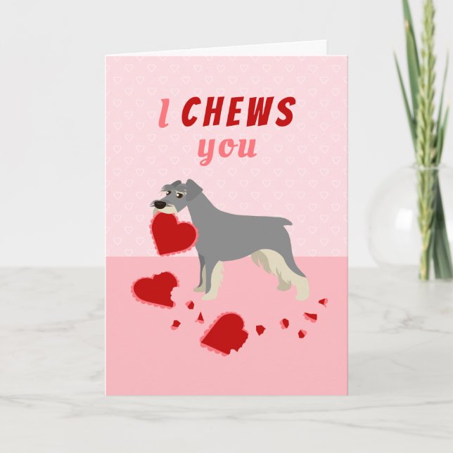 I Chews You Schnauzer Valentine's Day Holiday Card (Front)