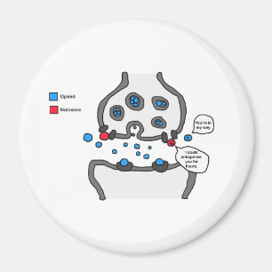I could antagonize you magnet