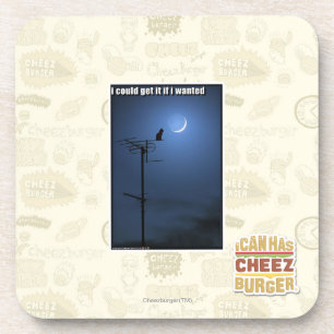 I could get it if I wanted Coaster