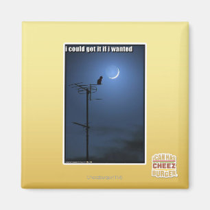 I could get it if I wanted Magnet