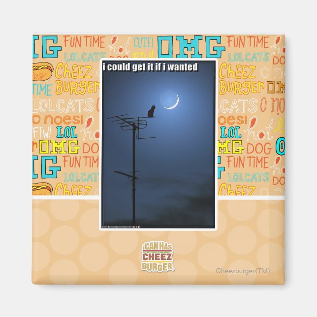 I could get it if I wanted Magnet (Front)