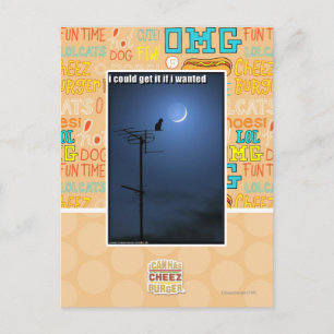 I could get it if I wanted Postcard