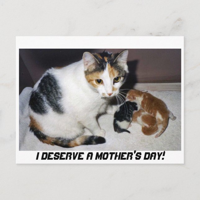 I DESERVE A MOTHER'S DAY! POSTCARD (Front)