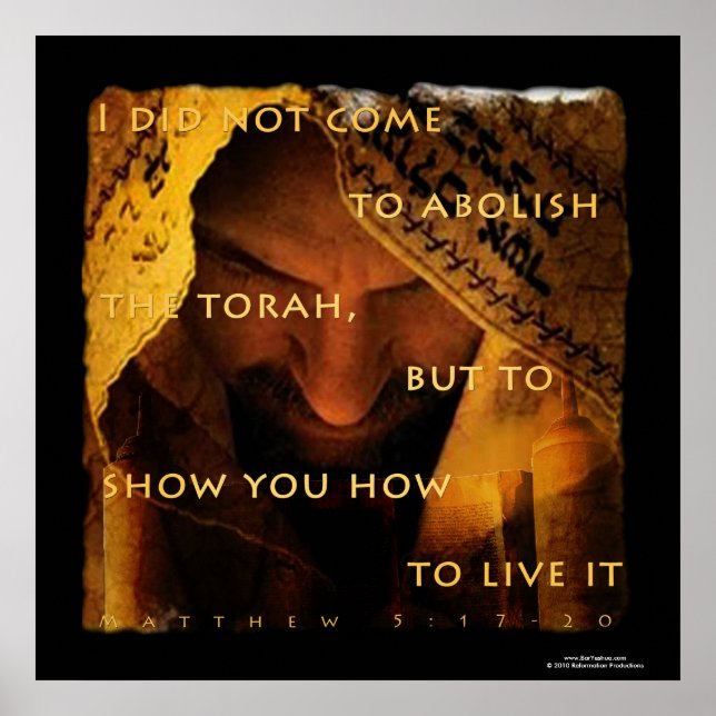 I did not come to abolish poster (Front)