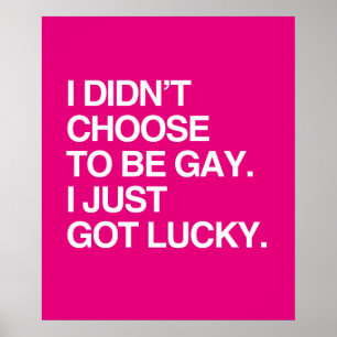 I DIDN'T CHOOSE TO BE GAY I JUST GOT LUCKY POSTER