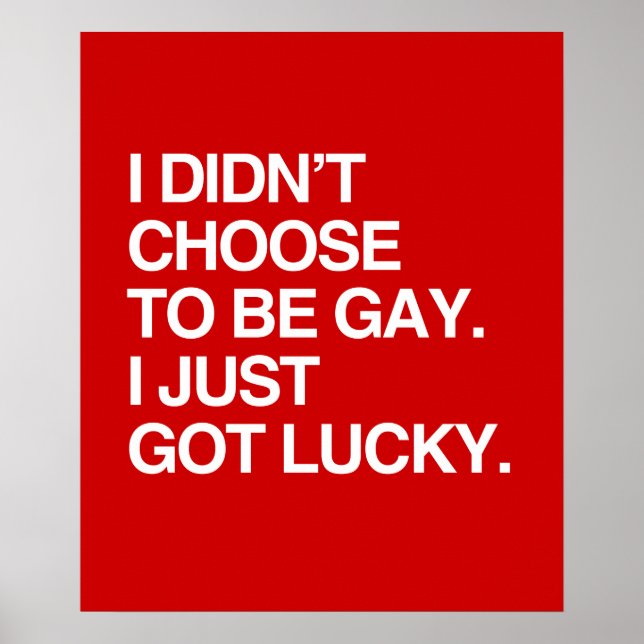 I DIDN'T CHOOSE TO BE GAY I JUST GOT LUCKY POSTER (Front)