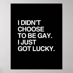 I DIDN'T CHOOSE TO BE GAY I JUST GOT LUCKY POSTER
