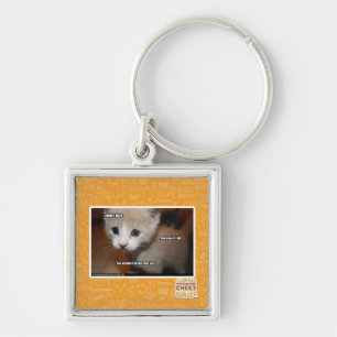 I didn't do it. keychain