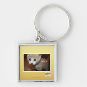 I didn't do it. keychain