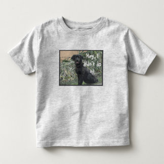 I didn't do it!  Kids Tee Shirt