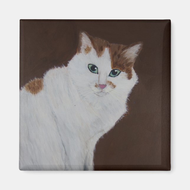 I didn't do it magnet (Front)