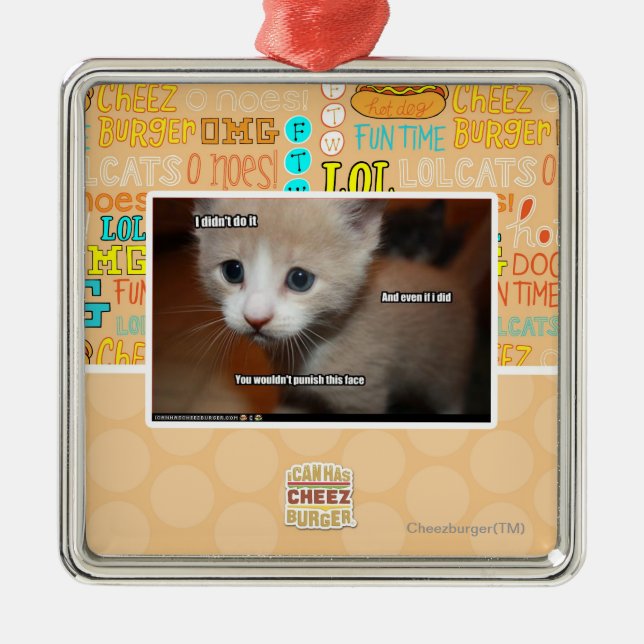 I didn't do it. metal ornament (Front)