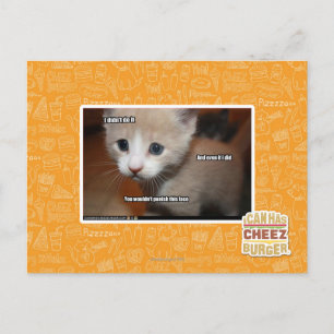 I didn't do it. postcard