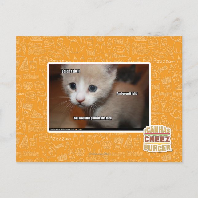 I didn't do it. postcard (Front)