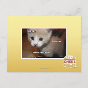 I didn't do it. postcard