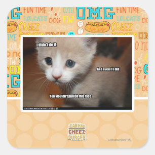 I didn't do it. square sticker