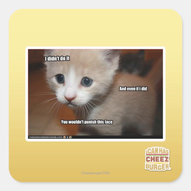 I didn't do it. square sticker (Front)