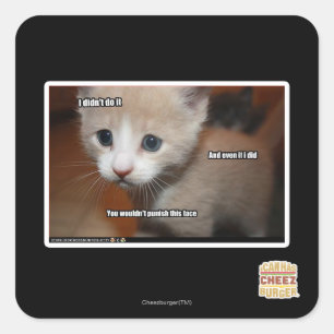 I didn't do it. square sticker