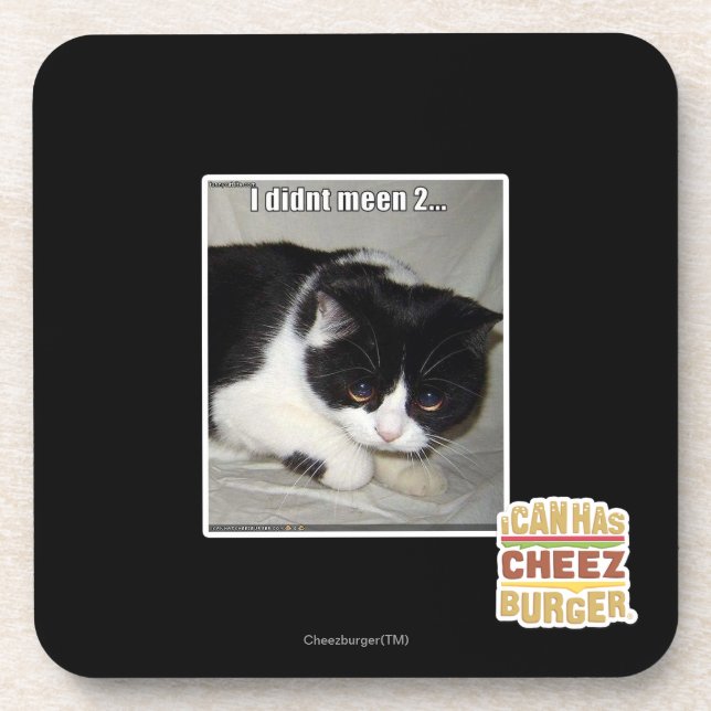I didn't meen 2 coaster (Front)