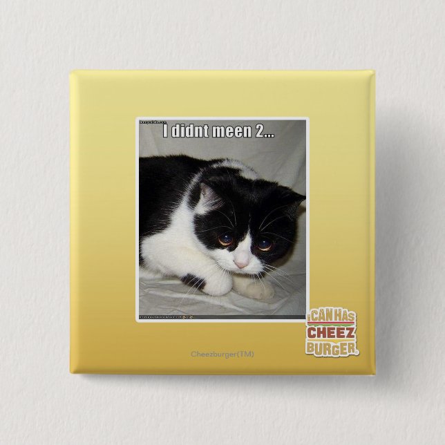 I didn't meen 2 inch square button (Front)