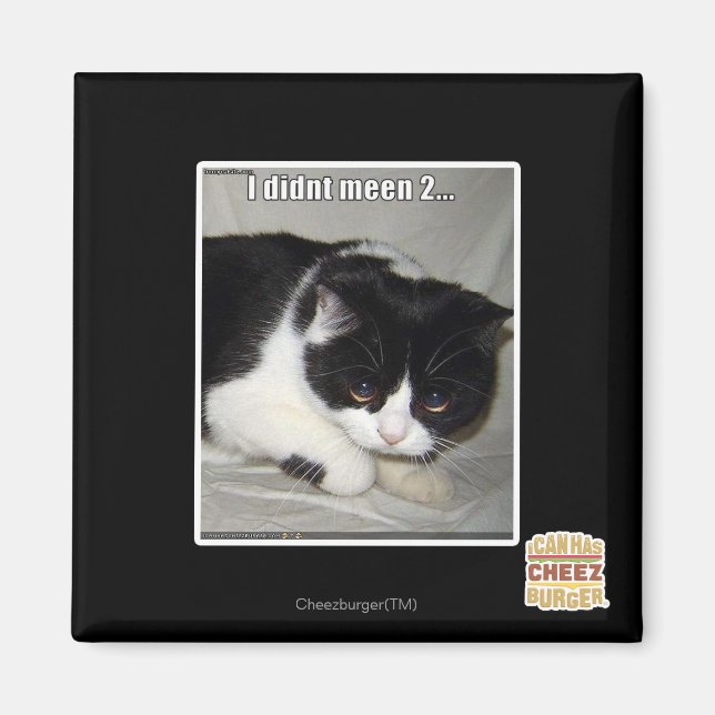 I didn't meen 2 magnet (Front)